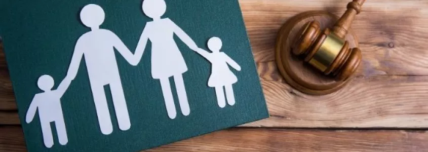 Guarda y custodia de los hijos menores. Guía 2022