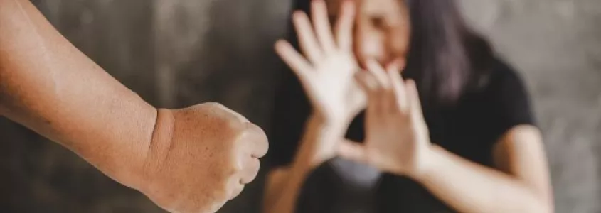 Violencia doméstica